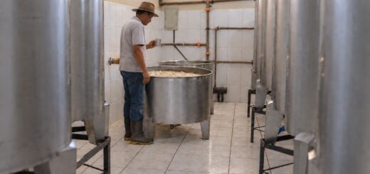 Mestre alambiqueiro observando uma dorna de fermentação entre os tanques do Engenho Serra Geral.